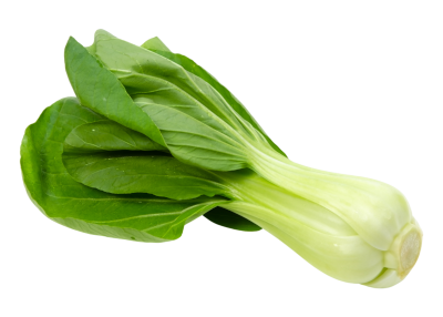 bok choy